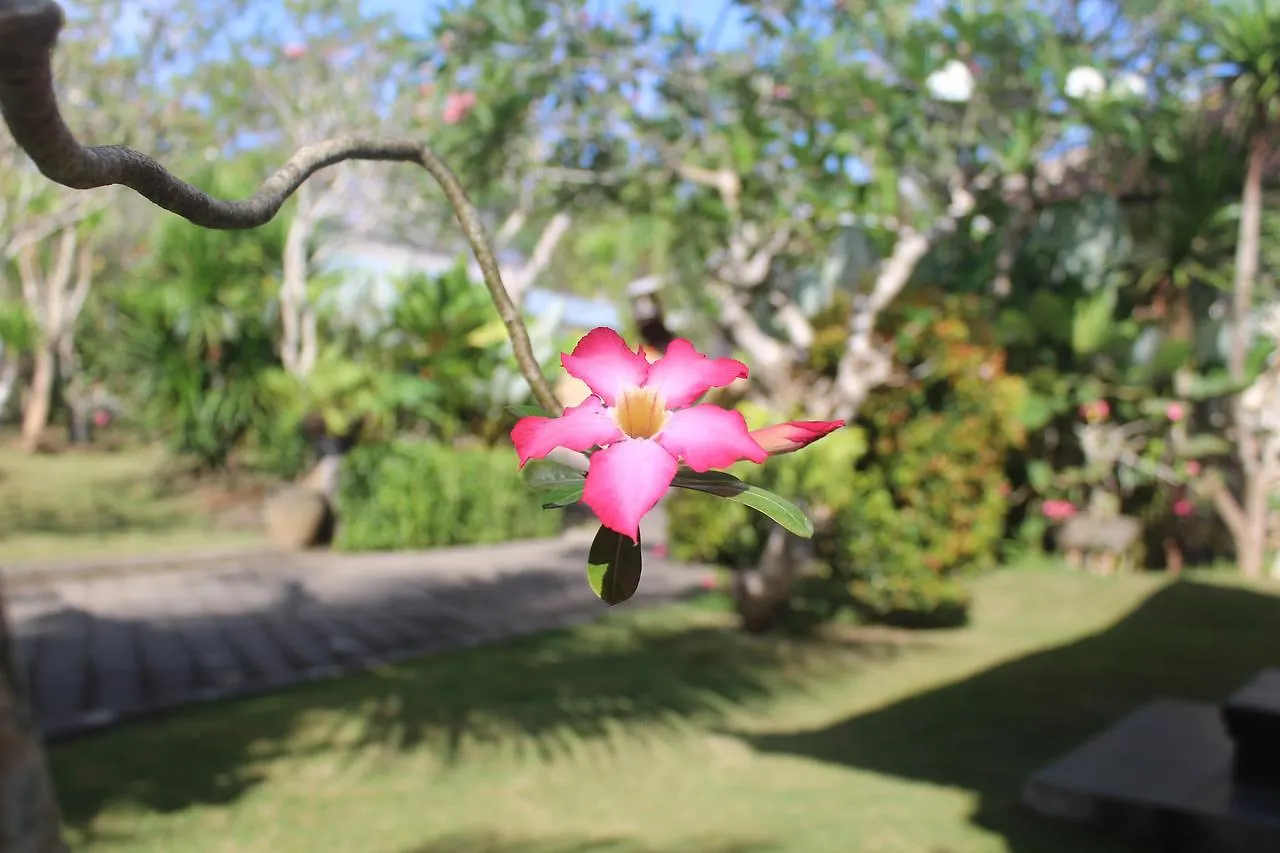 El Homestay Bali Nusa Dua  Indonesia