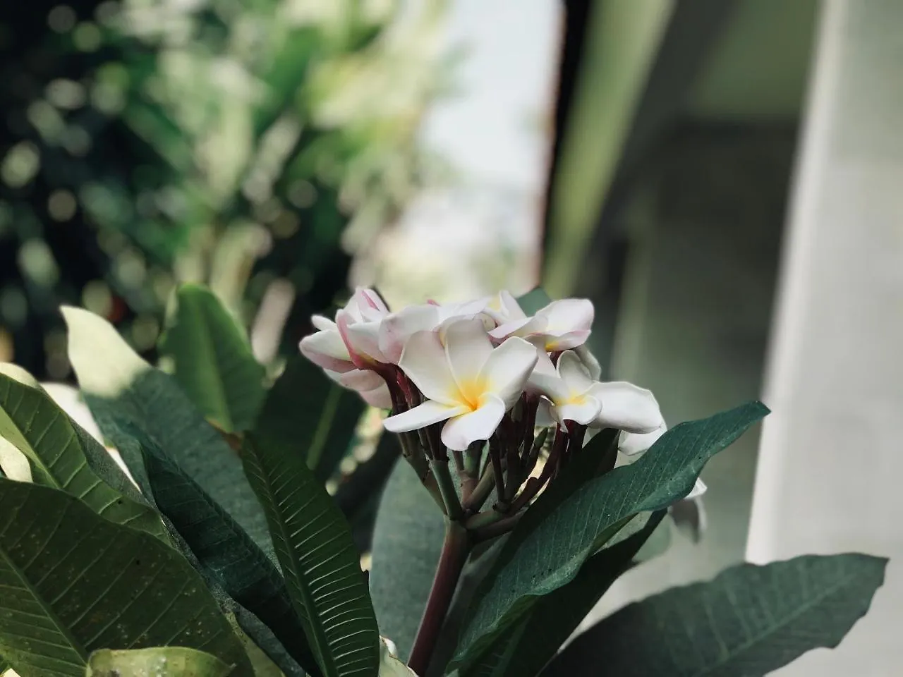 El Homestay Bali Nusa Dua  Indonesia